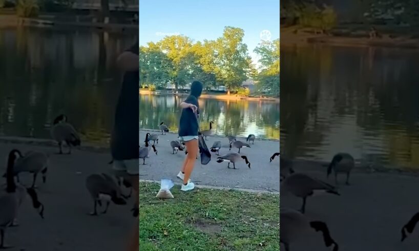 This Animal Rescue Will Melt Your Heart 🥹❤️ #Shorts