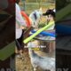 This Simple Foam Trick Stops Goat Fights
