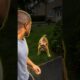 Tiny Cat, Huge Courage!❤ | #Shorts #GreatestSave