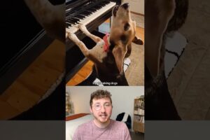 Top 10 Singing Dogs