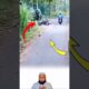 نجوا بأعجوبة من سحق محقق#youtubeshorts