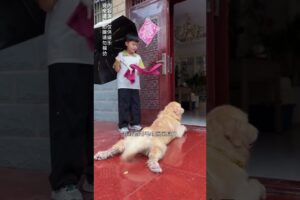 अपनी ड्यूटी निभा के रानी बहुत थक गयी 😢 #dog #pets #animallovers