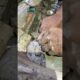 टाइल्स खोद कर निकाला गया सांप देखिए कैसे