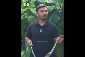 সাপে কাঁটার পর দেরিতে হাসপাতালে গেলে যা হবে। #wildlife #snake #snakerescue #shorts #awareness